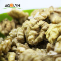 wholesale Dried Style walnut kernels 185